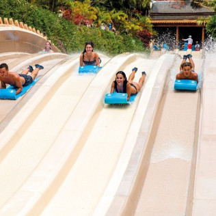 Twin Ticket: Entrada Loro Parque y Siam Park (Tenerife)