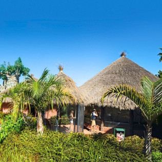 Twin Ticket: Entrada Loro Parque y Siam Park (Tenerife)
