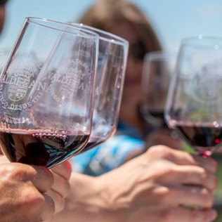 Visita Guiada a Bodegas Valdelana y Museo del Vino con Cata de Vino y Aceite para dos (Álava)