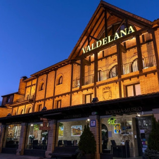 Visita Guiada a Bodegas Valdelana y Museo del Vino con Cata de Vino y Aceite para dos (Álava)
