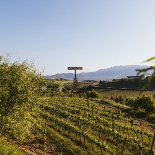 Visita Privada y Cata de Vino para dos en Bodega Valenciso (La Rioja)