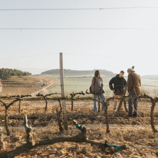 Visita Privada y Cata de Vino para dos en Bodega Valenciso (La Rioja)