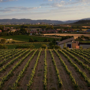 Visita Privada y Cata de Vino para dos en Bodega Valenciso (La Rioja)