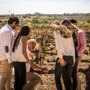 Velero & Alella Winery Tour: Salida en Velero y Visita a Bodega (Barcelona)