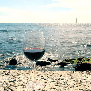 Velero & Alella Winery Tour: Salida en Velero y Visita a Bodega (Barcelona)