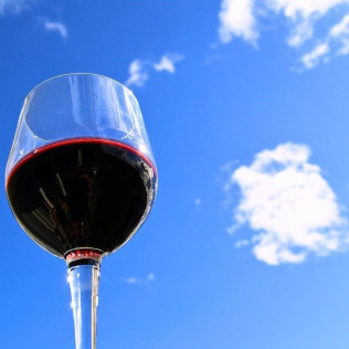 Estenas GastroExperience: Visita a Viñedo y Bodega Vera de Estenas con Cata de Vinos y Comida para dos (Utiel, Valencia)