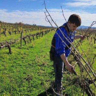 Ruta en Vespa Entre Viñedos en Mulet Viticultors (Santa Fe del Penedès, Barcelona)
