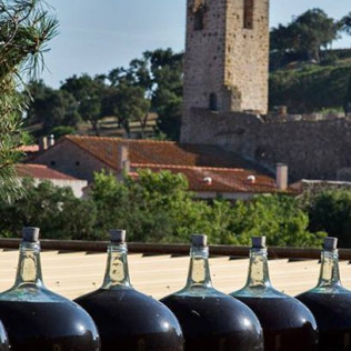 Visita a Celler Vinyes dels Aspres con Cata de Vinos y Degustación a Elegir para dos (Cantallops, Girona)