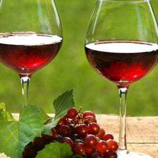 Visita a Celler Vinyes dels Aspres con Cata de Vinos y Degustación a Elegir para dos (Cantallops, Girona)
