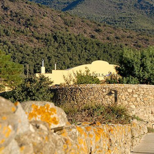 Visita a Celler Vinyes dels Aspres con Cata de Vinos y Degustación a Elegir para dos (Cantallops, Girona)
