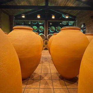 Visita a Bodegas Vicente Gandía con Cata de Vinos y Tabla de Quesos y Embutidos para dos (Las Cuevas de Utiel, Valencia)