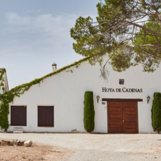 Visita a Bodegas Vicente Gandía con Cata de Vinos y Tabla de Quesos y Embutidos para dos (Las Cuevas de Utiel, Valencia)