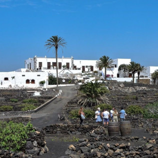 Tour por Viñedo con Cata de Vinos y Maridaje de Chocolate Artesanal en Finca Testeina -  Bodegas Vega de Yuco (Masdache, Lanzarote)
