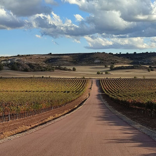 Visita a Bodegas Viña Arnáiz y Cata de Vinos (Haza, Burgos)