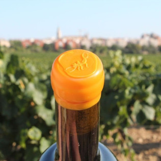 Paseo por los Viñedos con Desayuno de Payés y Cata de 3 Vinos en Mulet Viticultors (Santa Fe del Penedès, Barcelona)