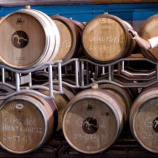 Visita a Viñedos en 4x4, Bodega, Cata de Vinos, Aperitivo y Comida en Cellers Baronia del Montsant (Tarragona)
