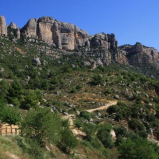 Visita a Viñedos en 4x4, Bodega, Cata de Vinos, Aperitivo y Comida en Cellers Baronia del Montsant (Tarragona)