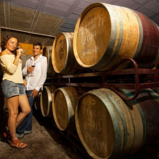 Visita a Viñedos en 4x4, Bodega, Cata de Vinos, Aperitivo y Comida en Cellers Baronia del Montsant (Tarragona)