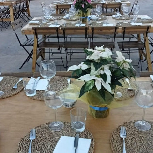 Visita Top Máxima: Visita Guiada a Bodega Mas de Rander y Viñas con Cata de Aceite y Cata de 8 Vinos (Torreblanca, Castellón)
