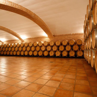 Escapada con Visita a Bodegas Castiblanque y Cata de Vino (Campo de Criptana, Ciudad Real)
