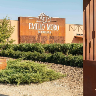Experiencia Gastronómica: Visita a Bodega, Cata de Vino y Menú Tradicional en Bodegas Emilio Moro (Pesquera de Duero, Valladolid)