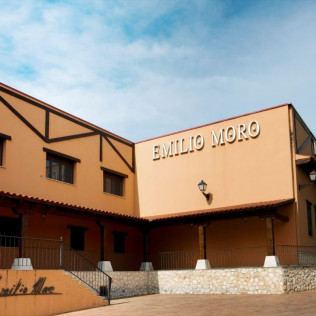 Experiencia Gastronómica: Visita a Bodega, Cata de Vino y Menú Tradicional en Bodegas Emilio Moro (Pesquera de Duero, Valladolid)