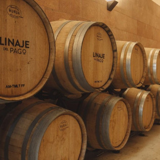 Visita Premium: Visita a la Bodega con Degustación de Vinos y Picoteo en Linaje del Pago (El Sauzal, Tenerife)