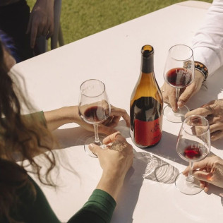Visita Premium: Visita a la Bodega con Degustación de Vinos y Picoteo en Linaje del Pago (El Sauzal, Tenerife)