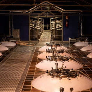 Viaje a la Uva: Visita a Bodegas NOC con Cata de Vino y Maridaje con Queso Manchego Artesano para dos (Manzaneque, Toledo)