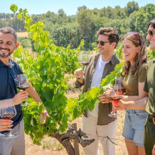 Montserrat, Tapas & Wine: Excursión Guiada a Montserrat, Visita a Bodega y Cata de Vino con Transporte desde Barcelona (Barcelona)