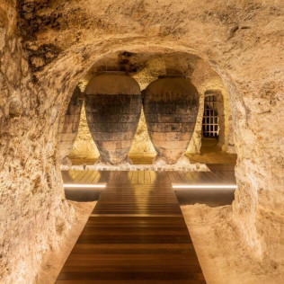 Visita Raíces y Tinajas: Visita y Cata de Vinos con Maridaje de Ibéricos en Bodegas Murviedro (Requena, Valencia)