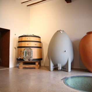 Visita Raíces y Tinajas: Visita y Cata de Vinos con Maridaje de Ibéricos en Bodegas Murviedro (Requena, Valencia)