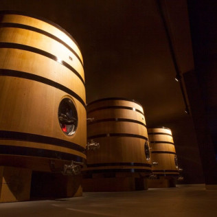 Sed de Aventura: Ruta en 4x4, Visita a Bodega, Cata de Vino y Maridaje en Unsi Wines (Olite, Navarra)