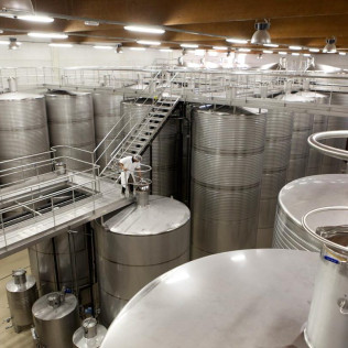 Visita a Bodega y Cata de Vinos para dos en Bodega Paco & Lola (Xil-Meaño, Pontevedra)