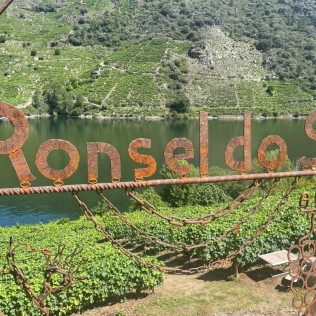 Visita a Bodega, Paseo por las Viñas, Cata de Vinos y Tapa para dos en Ronsel Do Sil (Parada do Sil, Ourense)