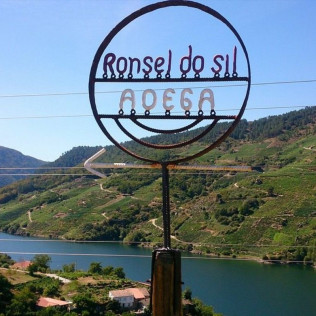 Visita a Bodega, Paseo por las Viñas, Cata de Vinos y Tapa para dos en Ronsel Do Sil (Parada do Sil, Ourense)