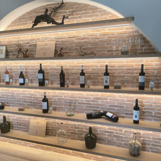 Entre Viñas y Tinajas: Paseo por la Viña, Visita a la Bodega, Cata y Tapa en Bodegas Rudeles (Peñalba de San Esteban, Soria)