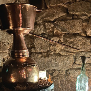 Degustación de Vinos y Selección de Ibéricos, Quesos y AOVE Ecológico para dos en La Bodega Medieval (San Martín del Castañar, Salamanca)