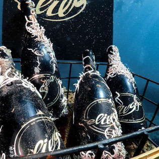 Recupera un Tesoro: Buceo y Recuperación de Botella de Vino para dos (Sant Pere Pescador, Girona)