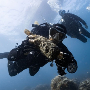 Recupera un Tesoro: Buceo y Recuperación de Botella de Vino para dos (Sant Pere Pescador, Girona)