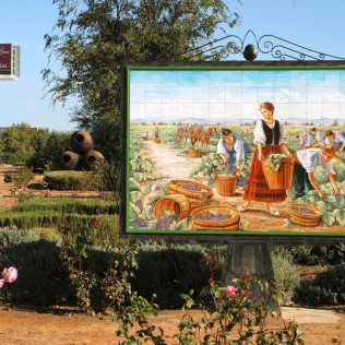 Visita a Bodegas Señorío de los Llanos y Cata de Vino para dos (Valdepeñas, Ciudad Real)