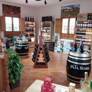 Visita a Bodegas Señorío de los Llanos y Cata de Vino para dos (Valdepeñas, Ciudad Real)