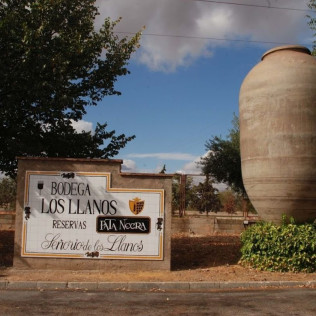 Visita a Bodegas Señorío de los Llanos y Cata de Vino para dos (Valdepeñas, Ciudad Real)