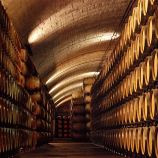 Visita a Bodegas Señorío de los Llanos y Cata de Vino para dos (Valdepeñas, Ciudad Real)