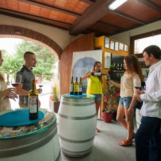 Visita a Bodega y Cata de Vinos con Aperitivo en Cellers Baronia del Montsant (Tarragona)
