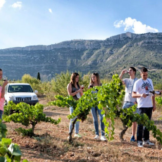 Visita a Bodega y Cata de Vinos con Aperitivo en Cellers Baronia del Montsant (Tarragona)