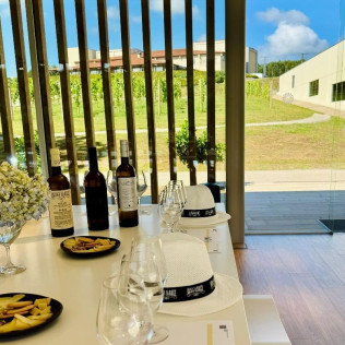 Armonía en Cuatro Tiempos: Visita a Viñedos y Bodega con Degustación de Vinos y Quesos para dos en Terras Gauda (Pontevedra)