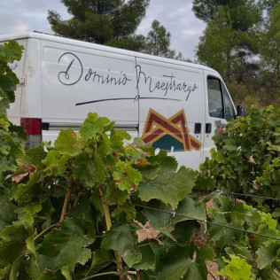 Visita a Bodega y Cata de Vino para dos en Bodegas Dominio Maestrazgo (Alcorisa, Teruel)