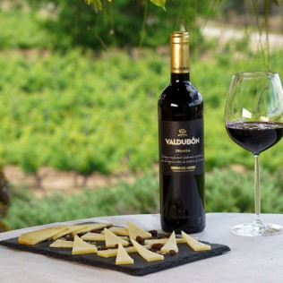 Visita a Bodegas Valdubón y Viñedos con Cata de Vinos y Quesos para dos (Milagros, Burgos)