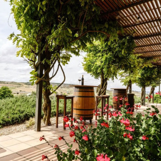 Visita a Bodegas Valdubón y Viñedos con Cata de Vinos y Quesos para dos (Milagros, Burgos)